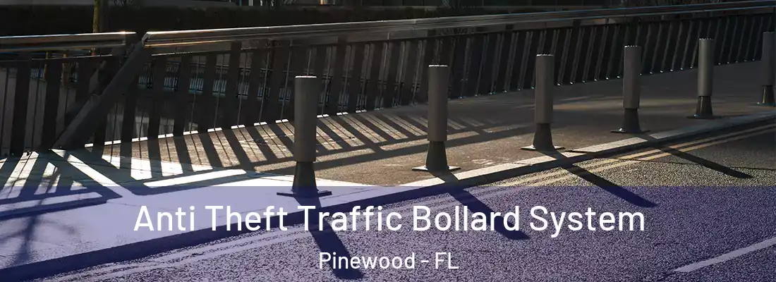  Anti Theft Traffic Bollard System Pinewood - FL
