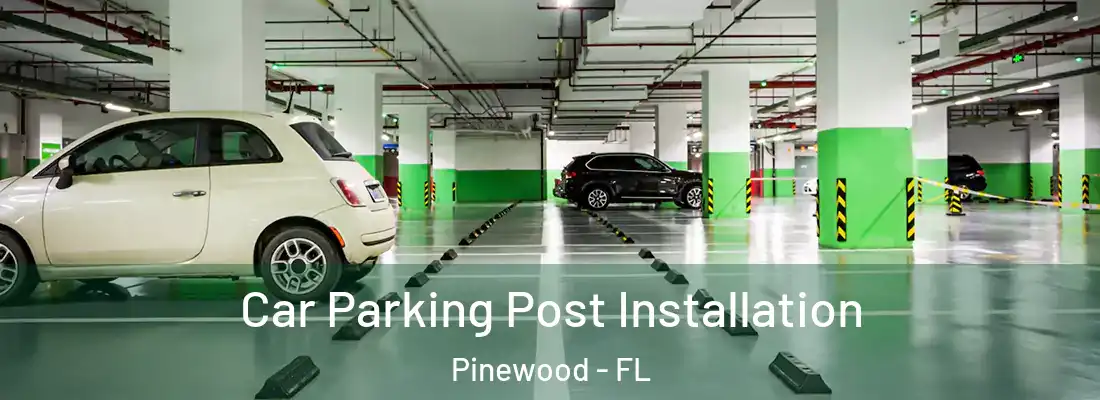  Car Parking Post Installation Pinewood - FL