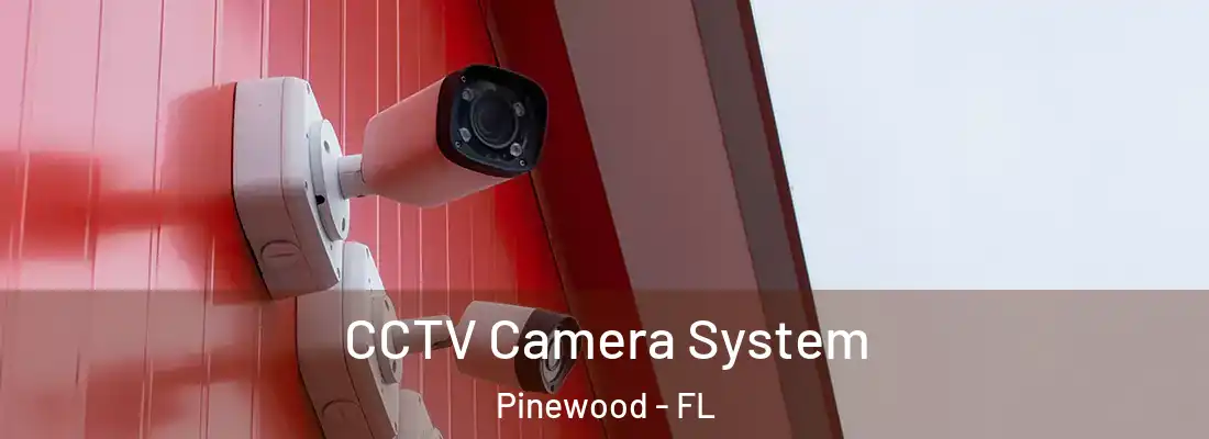  CCTV Camera System Pinewood - FL