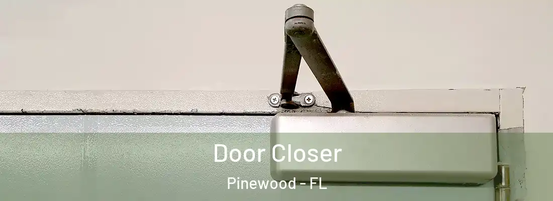  Door Closer Pinewood - FL