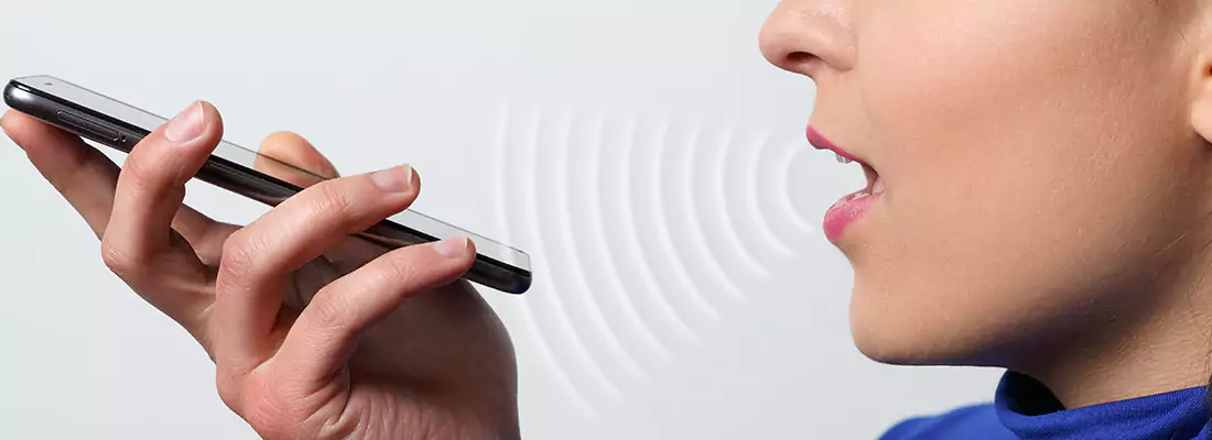 Residential and Commercial Voice Recognition Access Solutions in Pinewood, FL