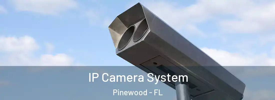 IP Camera System Pinewood - FL